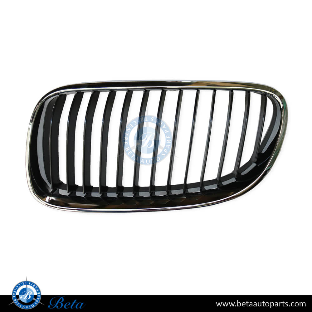Left Side Radiator Grille - Black and Chrome for BMW 3 Series E92 LCI 2009-2011 models, Part Number 51137254969 Left Side Radiator Grille - Black and Chrome for BMW 3 Series E92 LCI 2009-2011 models, Part Number 51137254969